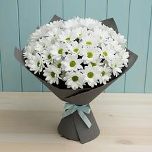 Букет цветов из:  Хризантемы #REPLACE_PRED# Суходоле