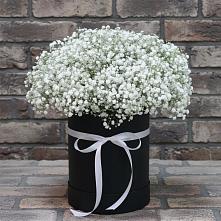 Цветочная композиция из Гипсофила в шляпной коробке в Суходоле