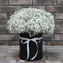 Цветочная композиция из Гипсофила в шляпной коробке в Суходоле