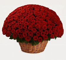 Премиум букет из: Розы #REPLACE_PRED# Суходоле